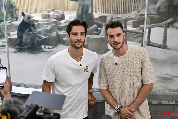 的策略倾向 的策略倾向