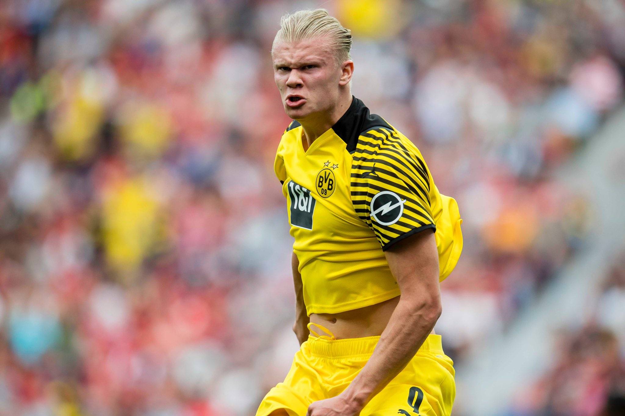 略显迟缓 略显迟缓