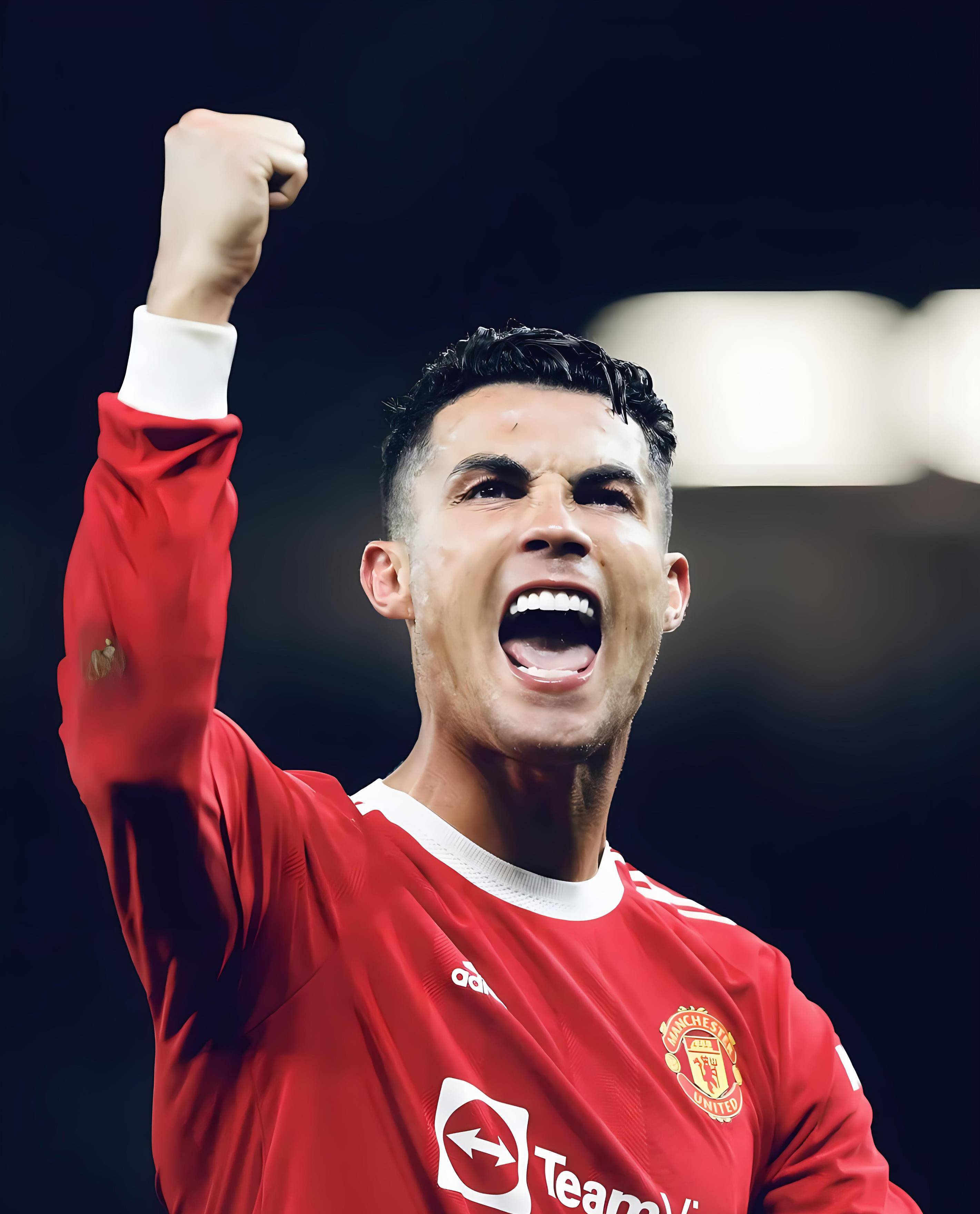 许多菜鸟以 许多菜鸟以