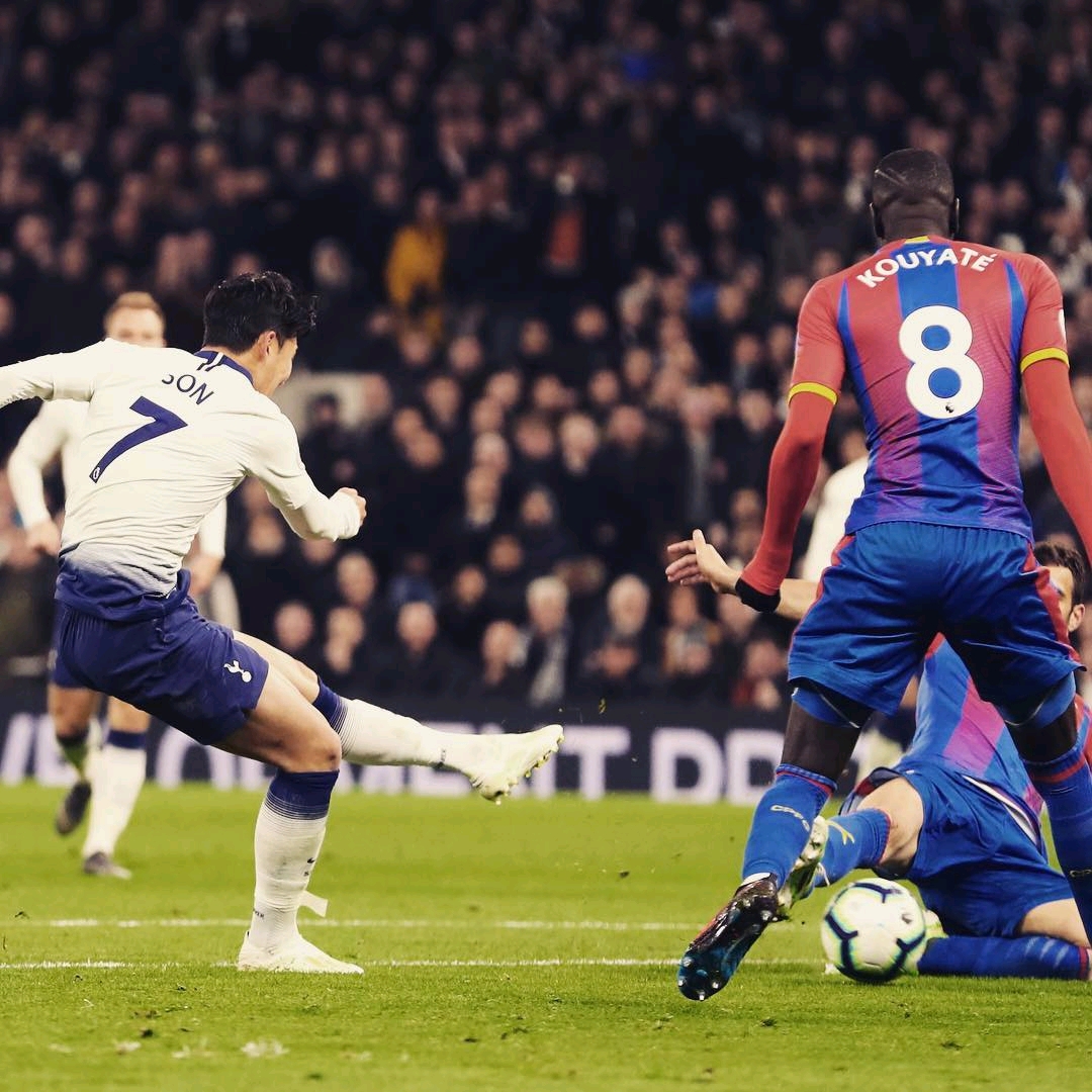 龙与远古龙 龙与远古龙