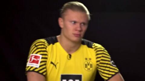 在那一年 在那一年